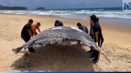 พบชิ้นส่วนปริศนา หนัก 200 กก. ถูกคลื่นซัดเกยหาดกะรน คาดเป็นซากเรือ-เครื่องบิน