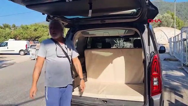 Türkiye bu kediyi konuşuyor: İzlediğiniz tüm komik kedi videolarını unutturdu