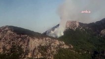 Les incendies de forêt dans les districts de Kemalpasa et Bornova à Izmir ont été maîtrisés