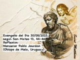 Evangelio del Día 30/08/2023, según San Mateo 13, 44-46 - Mpnseñor Pablo Jourdan