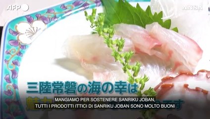 Fukushima, Kishida mangia pesce crudo: "E' sicuro e delizioso"