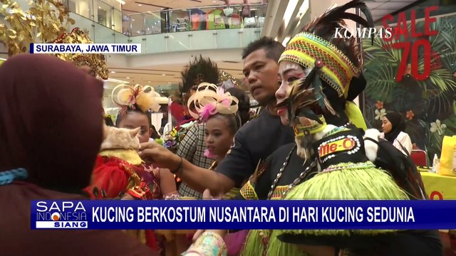 Kontes Kucing Berkostum Adat Nusantara Dalam Rangka Peringati Hari Kucing Sedunia