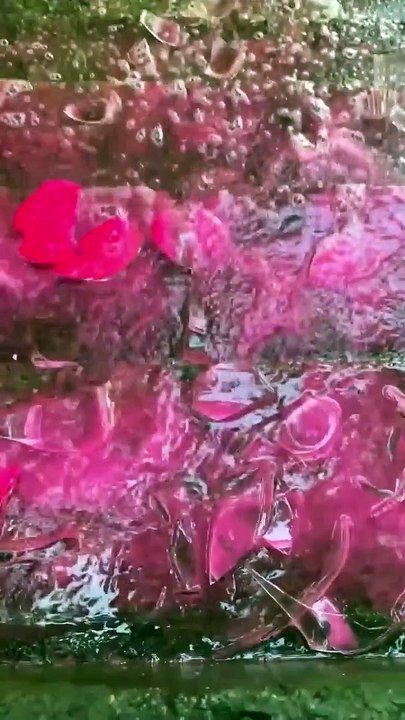 Crushing Crunchy & Soft Things ! Breaking glass bottles ⚠️ #shorts #asmr