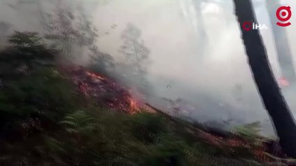 Orman yangını 25 dönüm alanda etkili oldu