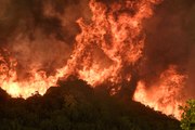 Waldbrand im Nordosten Griechenlands ist größter in Geschichte der EU