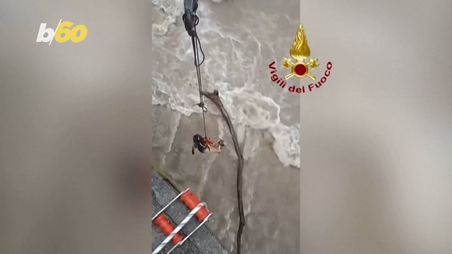 Italian Firefighters Rescue Animals Stranded by Flooding