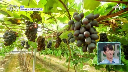 첫 데이트에 커플 사진은 못 참지♥ 소영 미모에 눈을 못 떼는 신성! 사진은 못 참지♥ 소영 미모에 눈을 못 떼는 신성!