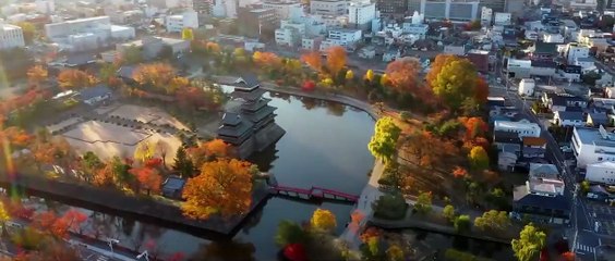 King of Killers Bande-annonce (EN)