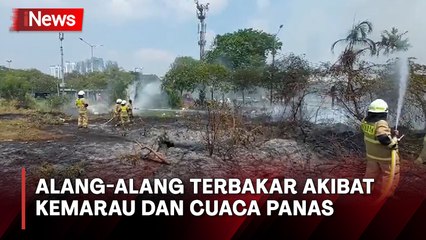 Kemarau dan Cuaca Panas, Alang-Alang di Lahan Kosong Pademangan Terbakar