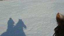MVI_0613