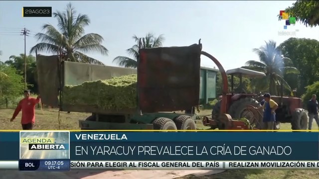Venezuela en movimiento: Comunidades de Yaracuy se organizan para impulsar el desarrollo productivo
