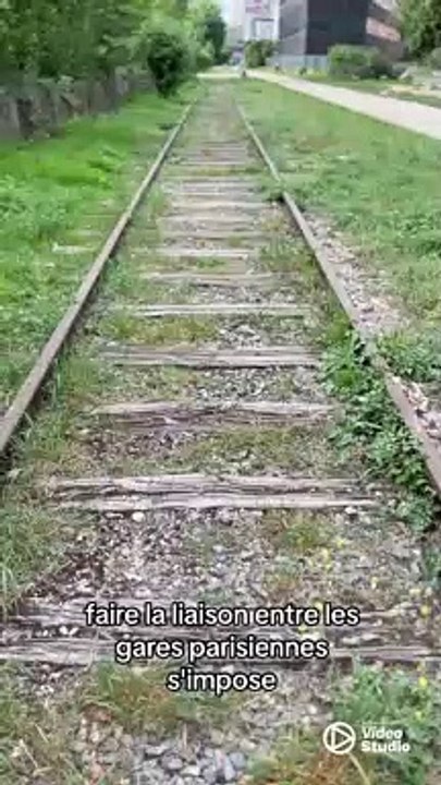 Qu’est ce que La petite ceinture à Paris ?