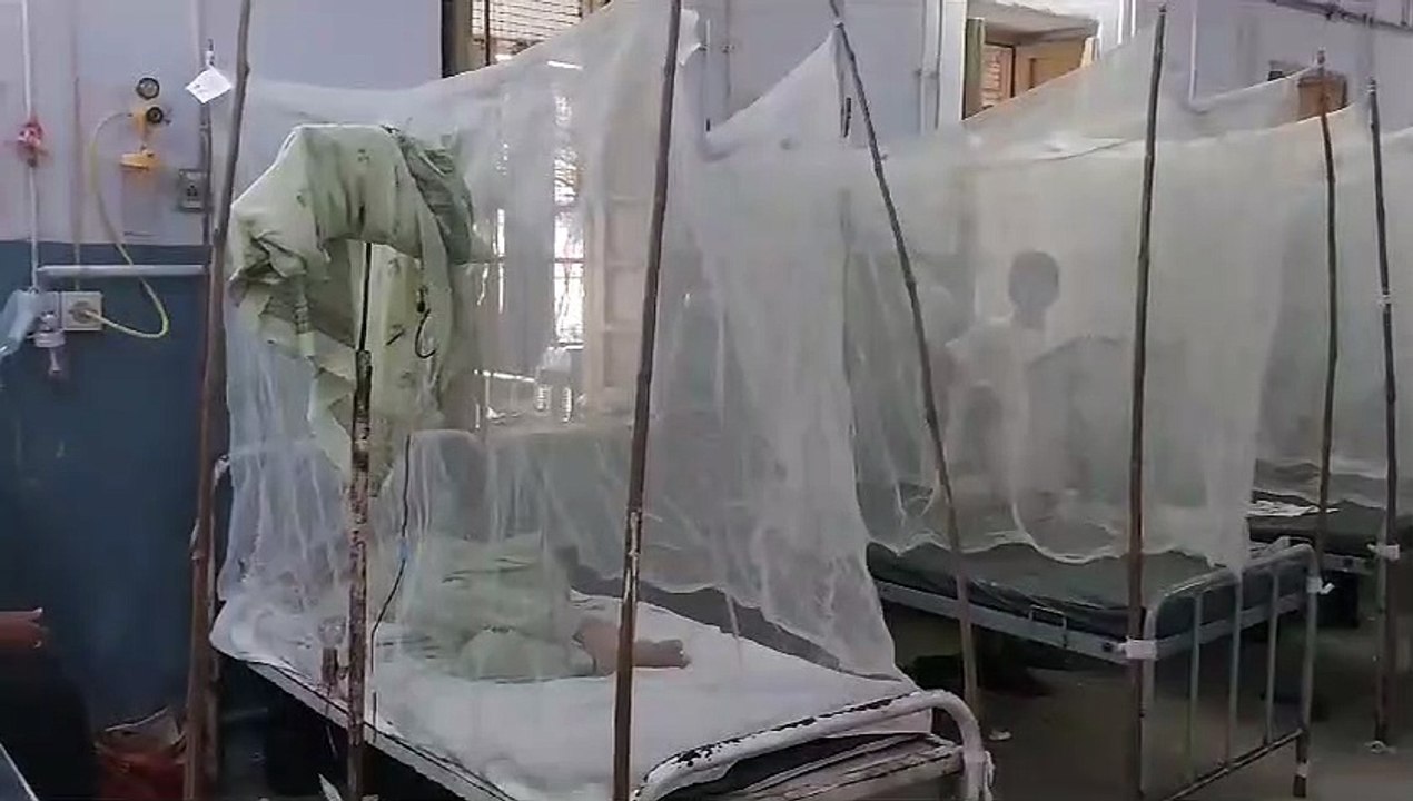 Dengue: मच्छरदानी के कवच में रोगी, अस्पताल खचाखच