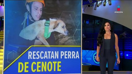 Rescatan a perrita "Shakira" atrapada en un cenote en Yucatán