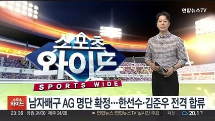 남자배구 AG 명단 확정…한선수·김준우 전격 합류