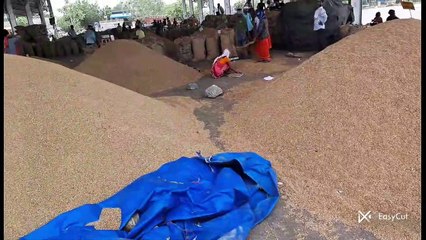 कृषि जिंसों सहित किराना व सर्राफा बाजार भाव