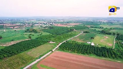 Hadsa Episode 10 30th August 2023 HAR PAL GEO