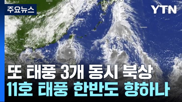 [날씨] 또 태풍 3개 동시 북상...11호 태풍 '하이쿠이' 한반도 향하나? / YTN