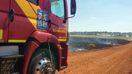 Grande área de plantação é consumida por incêndio em Cascavel