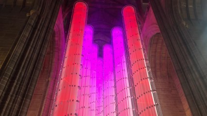 Your whats on guide for Liverpool