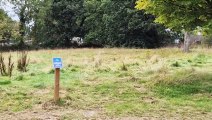 Watch: Rewilding site as part of the Blue Campaign in Burgess Hill, West Sussex
