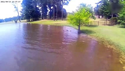 Men's & Women's 200m FINALS. World Athletics Championships BUDAPEST 2023
