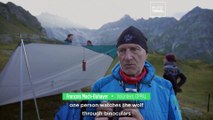Team wolf and sheep: Meet the Swiss volunteers camping out on hilltops to keep both animals alive