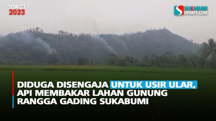 Diduga Disengaja untuk Usir Ular, Api Membakar Lahan Gunung Rangga Gading Sukabumi