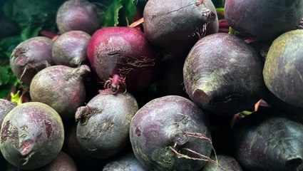 How to Plant, Grow, and Care for Beets