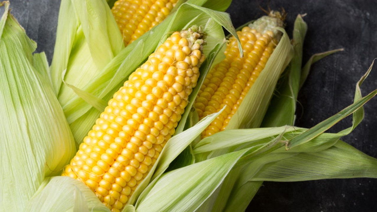 Is Corn a Vegetable, Fruit, or Grain?
