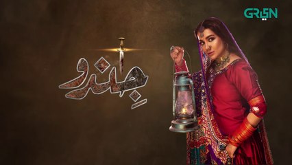 Jindo  Episode 08  Humaima Malik  Mirza Gohar  Hajra Yameen  Naeema Butt  Green TV