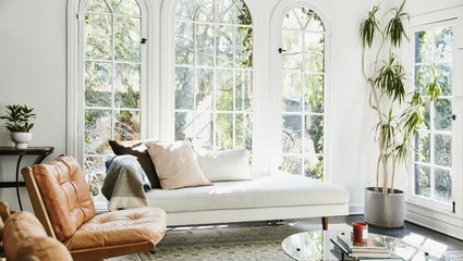 The 12 Best Plants To Grow In Your Living Room