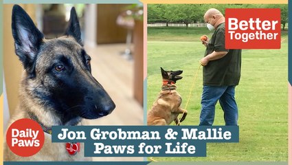 Paws for Life Is Giving Second Chances To Dogs & Incarcerated Trainers | Daily Paws