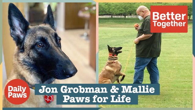 Paws for Life Is Giving Second Chances To Dogs & Incarcerated Trainers | Daily Paws