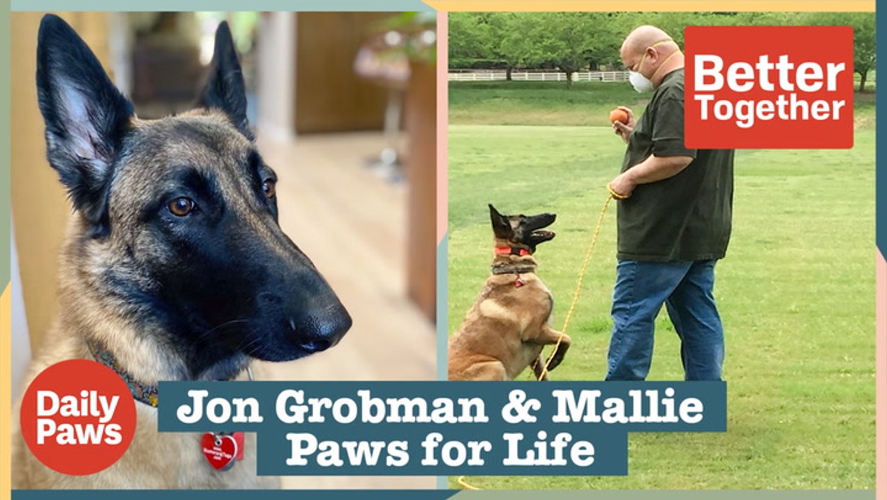 Paws for Life Is Giving Second Chances To Dogs & Incarcerated Trainers | Daily Paws