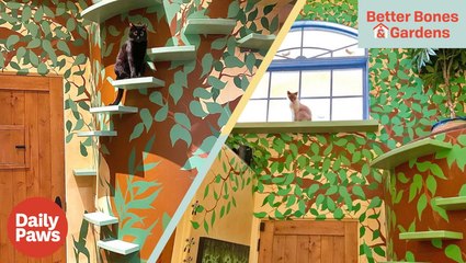 ZenByCat's House of Nekko Is The Ultimate Cat Sanctuary