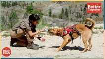 This Dog is Trained to Help Support Worldwide Conservation Efforts