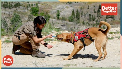 This Dog is Trained to Help Support Worldwide Conservation Efforts