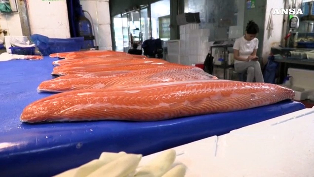 In Adriatico individuata nuova specie di granchio blu