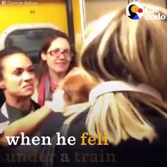 Dog Pulled Out From Under Train