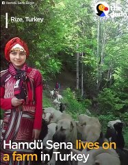 Girl, Her Dog Rescue Goat Mom And Baby   The Dodo