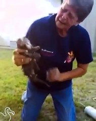 Kitten Stuck In Pipe Cries For Help Until Someone Hears