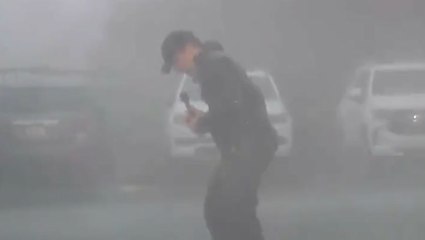 Journalist battles 100mph winds as he reports from Florida during Idalia landfall