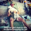 Marine Brings Dog Home From Afghanistan   The Dodo