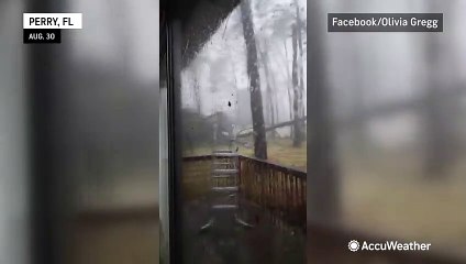 Scary moment as tree falls dangerously close to Florida home