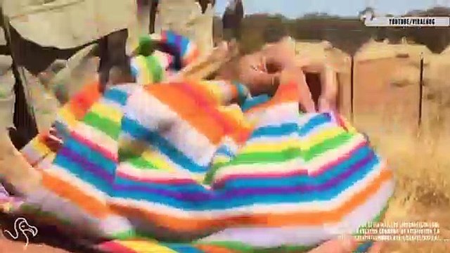 Orphaned Animals Get a Second Chance