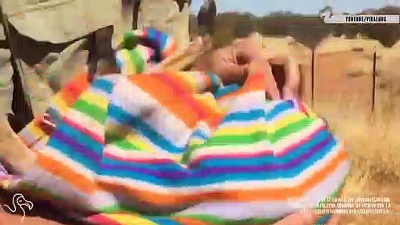 Orphaned Animals Get a Second Chance