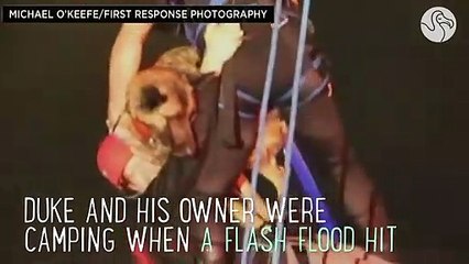 Rescuers Risk It All For Dog & His Owner