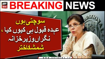 Caretaker finance minister rules out ‘more subsidies’ in IMF agreements