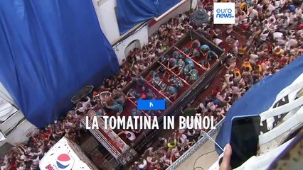 La Tomatina: Absurde Lebensmittelverschwendung in Spanien